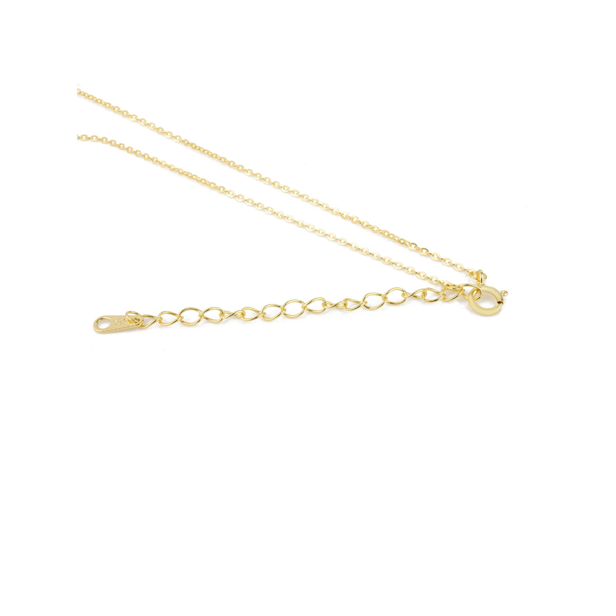 Hall of Fame Circle Pendant Necklace