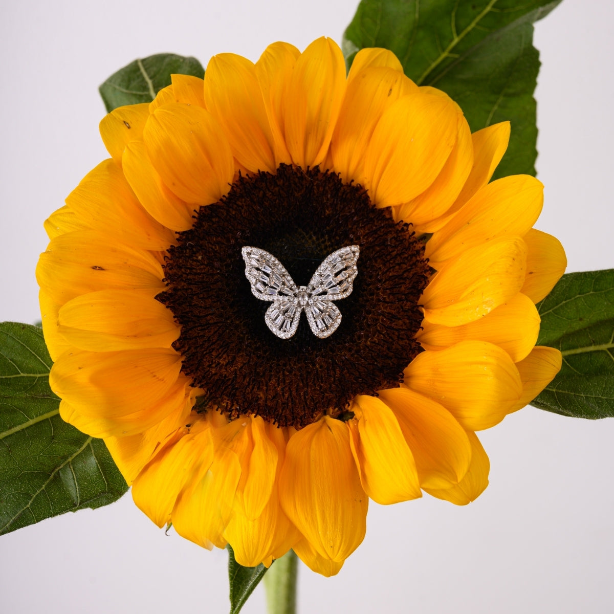 Silver Butterfly Earrings with Sparkling CZ Diamonds